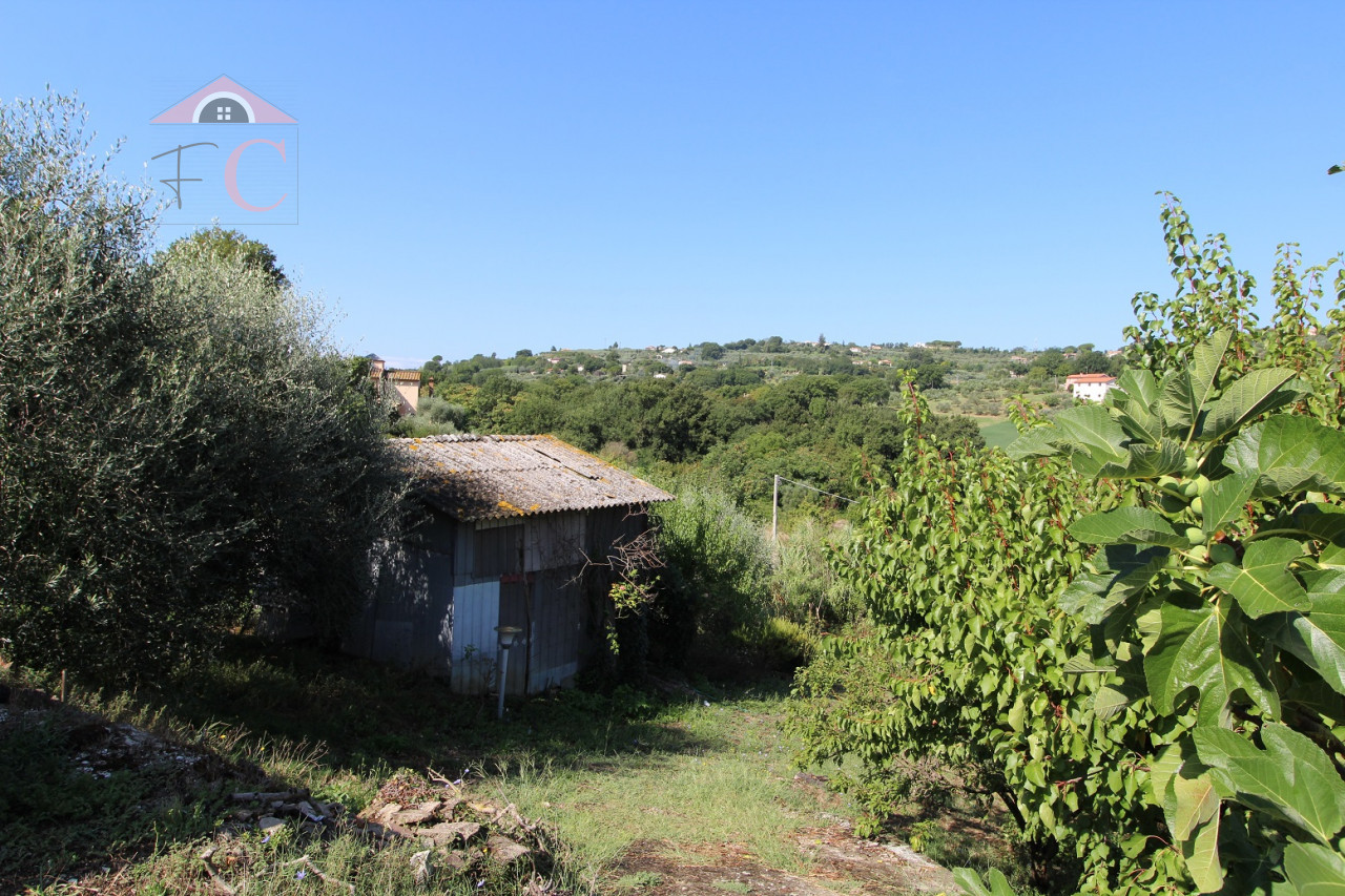 AMELIA: Terreno Agricolo con Annessi